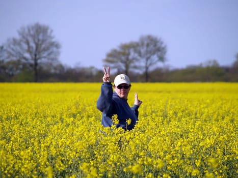 Cool in rapeseed