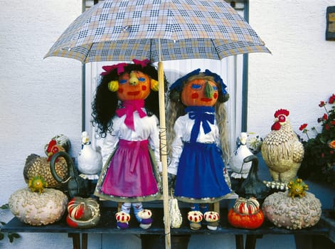 Pumpkin pair