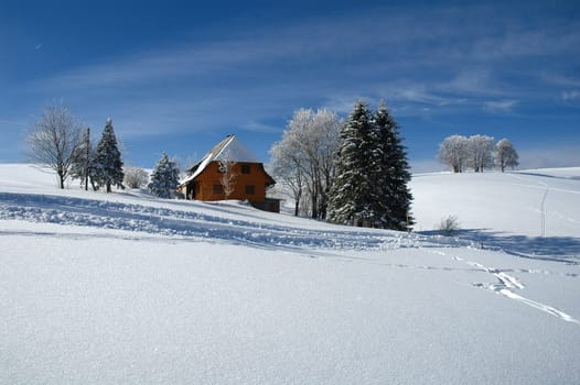 Winter Landscape 13