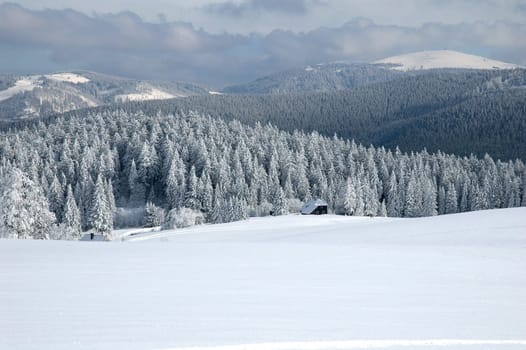 Winter Landscape 15