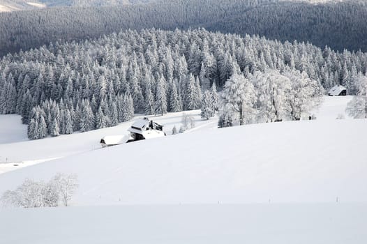 Winter Landscape 14