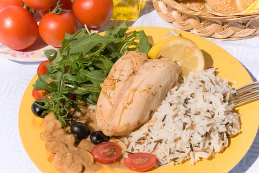 Diet chickens breast-skinless-with salad
