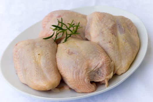 Fresh chicken breast raw