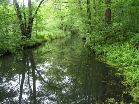 A fleece in the Spreewald