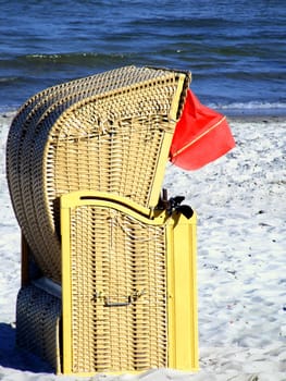 Beach crab