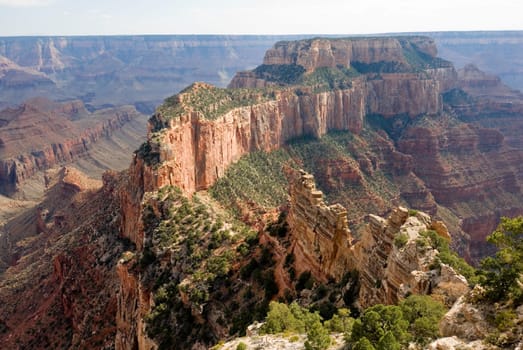 Grand Canyon. North Rim. Cape Royal