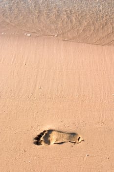 Walk