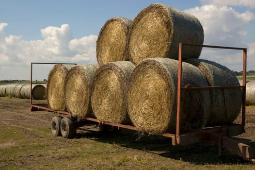 Straw bales