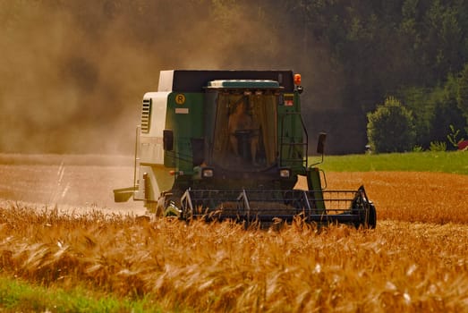 Harvest