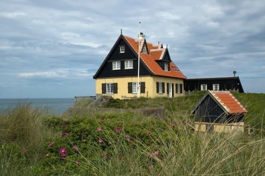 Beach House