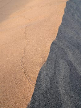 Lines