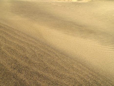 Sand Sea
