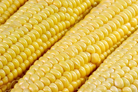 Corn on the cob in detail