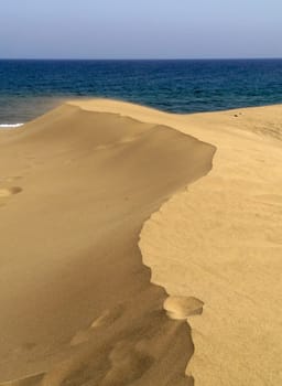 On the dune