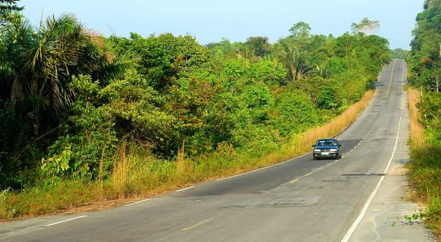 Transamazonica,Amazonas,Brazil