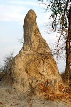 Termite mounds,Africa