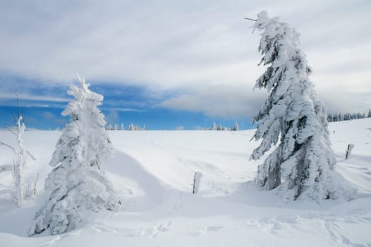 Winter Landscape 21
