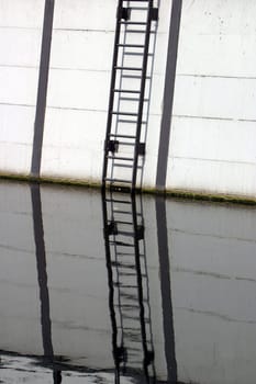 Reflection