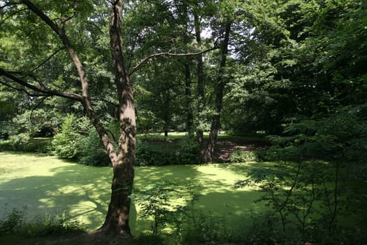 Berlin Tiergarten