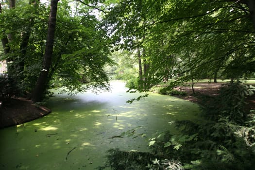 Berlin Tiergarten