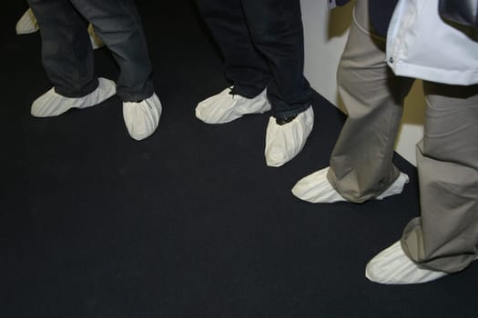 Shoe Parisian