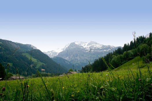 Mountain panorama Oberried
