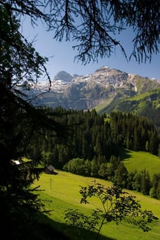 Mountain panorama of Oberried vom Metsch