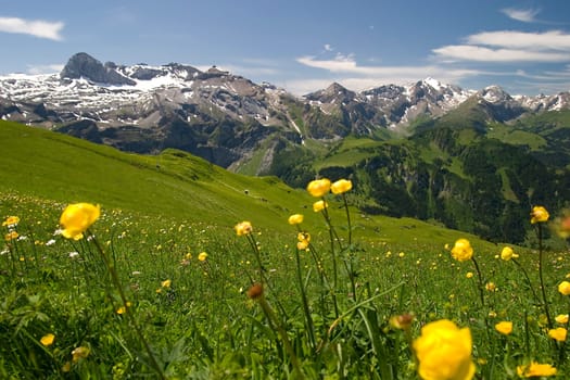 Mountain panorama of Oberried vom Metsch