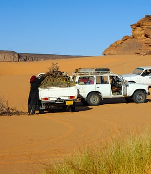 Desert Parking