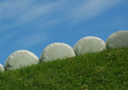 Feed bales