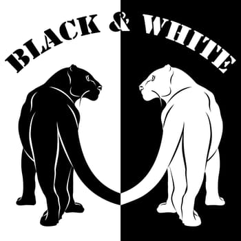 Black and White