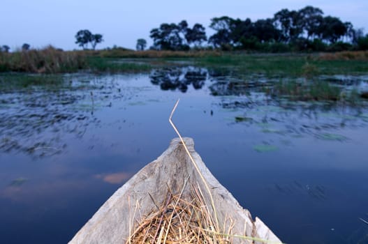 Okavango Delta Evening Excursion,Botswana