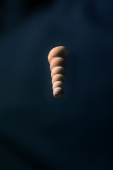 Spiral