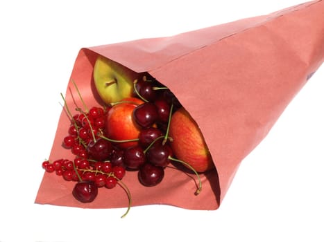Fruit bag