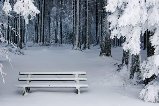 Winter Bench