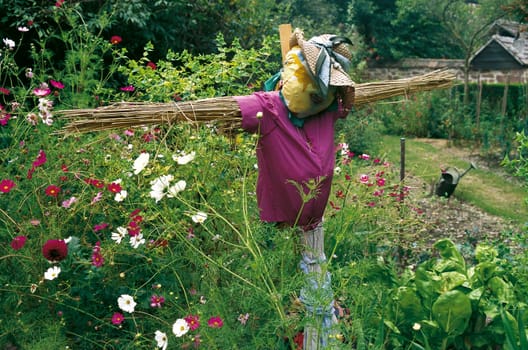 Scarecrow