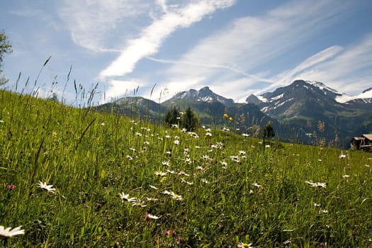 Mountain scenery of Lauenen