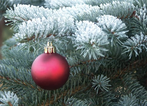 Christmastime