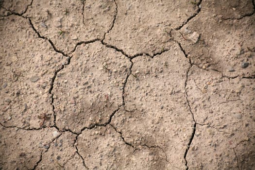 Drought
