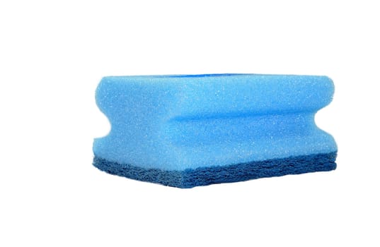 blue sponge