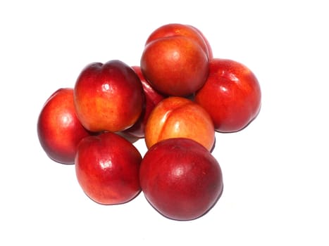 Nectarines