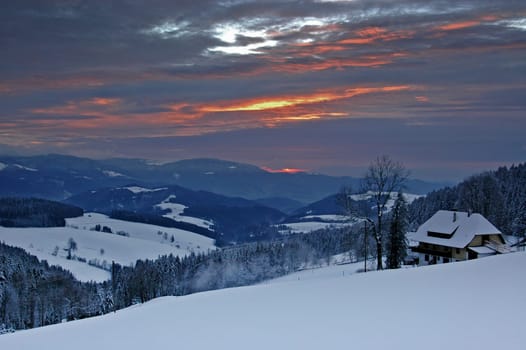 Winter Landscape 24