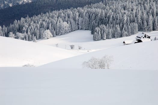 Winter Landscape 26