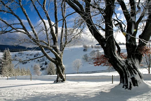 Winter Landscape 28