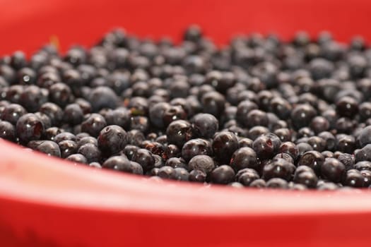 Blueberries