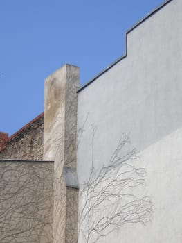 overgrown wall