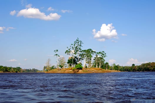 On the Rio Negro,Brazil