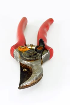 Secateurs