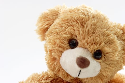 Teddy bear