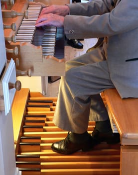 the organist